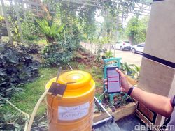 Aplikasi Canggih untuk Petani, Pantau Tanaman dari Jauh