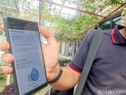 Aplikasi Canggih untuk Petani, Pantau Tanaman dari Jauh