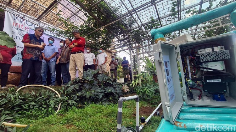 Aplikasi Virtual Monitor Pertanian di Sukabumi Aplikasi Virtual Monitor Pertanian di Sukabumi