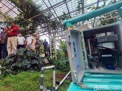 Aplikasi Canggih untuk Petani, Pantau Tanaman dari Jauh