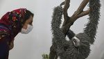Bukan Hewan Asli, Ini Penghuni Kebun Binatang Unik di Iran