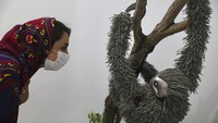 Seorang pengunjung melihat patung hewan yang dibuat dari logam di kawasan Kebun Binatang Logam Shahreza, Iran.