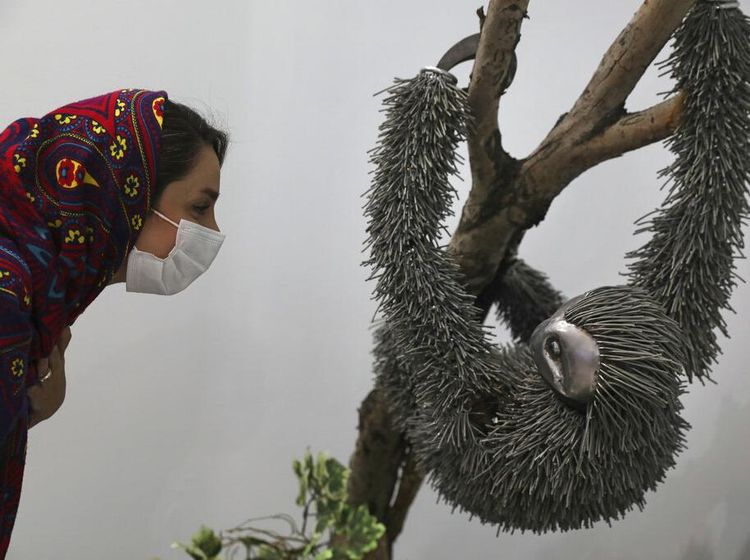 Bukan Hewan Asli, Ini Penghuni Kebun Binatang Unik di Iran