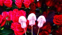 Traveler yang datang ke festival bisa berkunjung ke kuil dan ruang pameran di dalam halaman kuil, atau membeli suvenir dan manisan berbentuk penis dari berbagai kedai makanan.  (dok Kanayama Shrine)