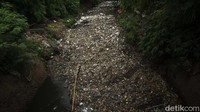 Sampah ini berasal dari limbah rumah tangga.