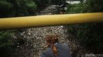 Jorok! Begini Penampakan Kali Jambe yang Penuh Sampah