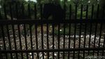 Jorok! Begini Penampakan Kali Jambe yang Penuh Sampah