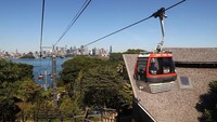 Dilonggarkannya pembatasan terkait COVID-19 di kota itu membuat kehidupan di Sydney perlahan kembali normal.