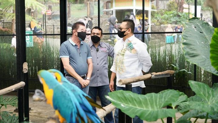 Ketua MPR RI sekaligus Pembina Perhimpunan Kebun Binatang se-Indonesia (PKBSI) Bambang Soesatyo mengunjungi kebun binatang mini Lembang Park & Zoo