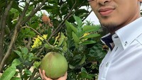 Di Instagramnya, Mohammad Ahsan juga sering membagikan momennya saat dikebun. Seperti pada momen ini, ia berpose dengan buah yang menggantung di atas pohon. Foto: Instagram @king.chayra