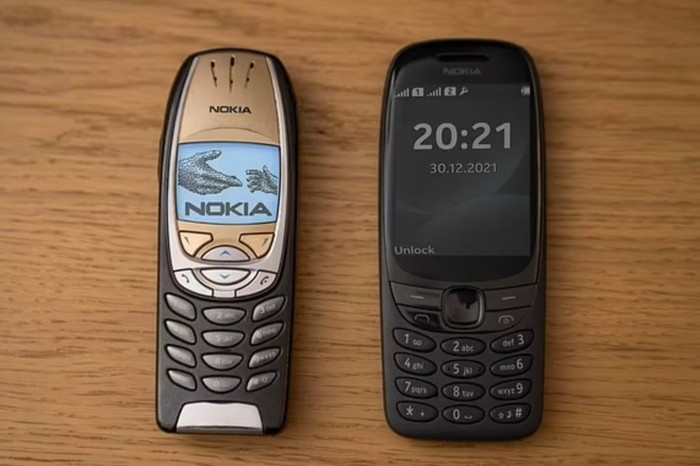 Nokia 6310 reborn