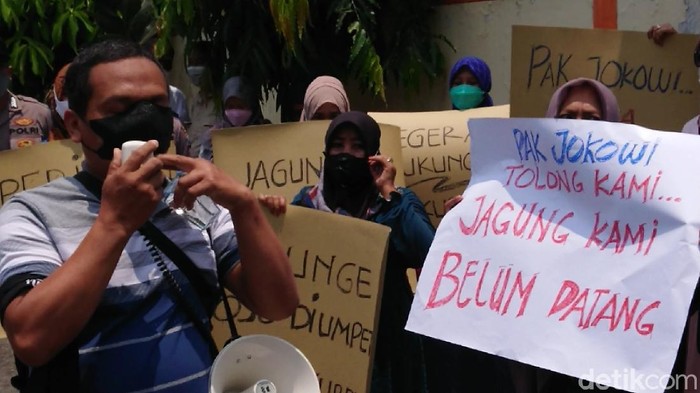 Puluhan perwakilan peternak ayam petelur asal Blitar dan Tulungagung demo di kantor Bulog setempat. Mereka menagih janji pemerintah soal penyediaan jagung dengan harga wajar.