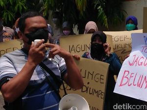 Peternak Ayam Petelur Blitar Ancam Geruduk Kementan soal Jagung