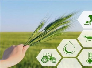 Roadmap Modernisasi Sektor Pangan Daerah