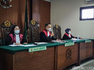 Penyelundup 78 Anjing untuk Konsumsi di Kulon Progo Divonis 10 Bulan Bui