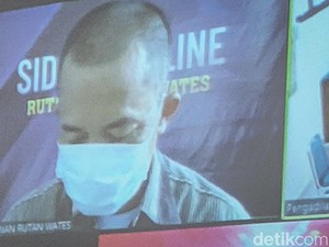 Pelaku Penyelundupan 78 Anjing di Kulon Progo Divonis 10 Bulan Bui