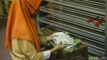 Tempe Mendoan Jumbo Ini Berukuran 4 Kali Ukuran Biasa