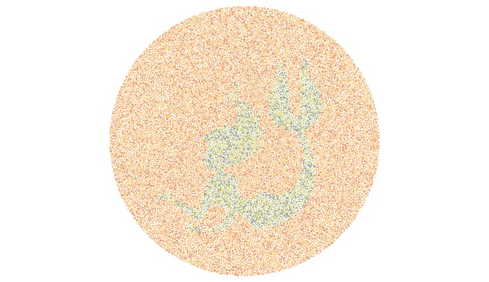 Tes buta warna detikHealth.