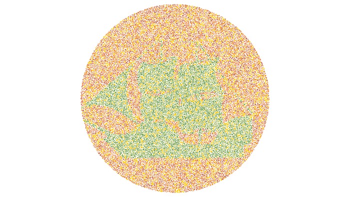 Tes buta warna detikHealth.