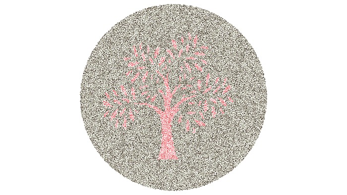 Tes buta warna detikHealth.