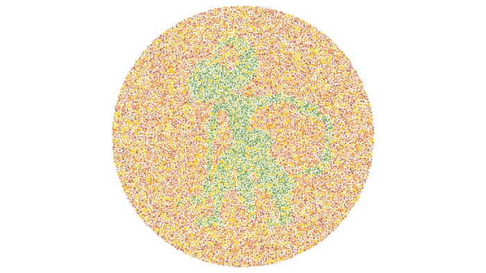 Bentuk pertunjukkan seni tradisional khas Indonesia. Biasanya dibuat dengan bahan kulit atau kayu.