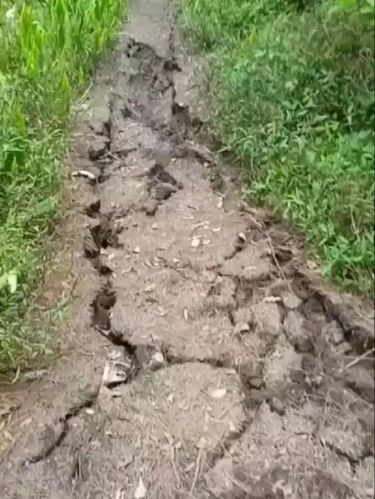 Beredar video dugaan keretakan di Gunung Abang Bali pascagempa magnitudo 4,8. BPBD mengingatkan warga untuk tidak mendaki sementara waktu. (Screenshot video viral)