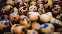 Untuk komoditas telur puyuh, Suwantono mendapat berkah dari pandemi COVID-19 karena permintaan naik 50% selama PPKM.