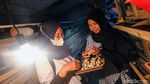 Geliat Usaha Ternak Puyuh di Grobogan Kala Pandemi