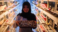Suwantono dan Muslikah membuka usaha Puyuh Berkah Barokah di Kecamatan Tawangharjo, Kabupaten Grobogan, Provinsi Jawa Tengah. Usahanya ini di bidang bibit puyuh, kandang puyuh, burung puyuh, dan telur puyuh.