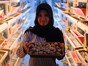 Tips buat Pemula yang Mau Ternak Burung Puyuh dari Ahlinya