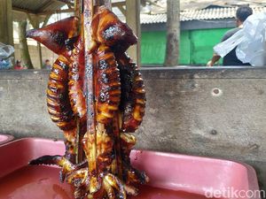 Seudep Poll! Gurita Bakar Digeprek Sambal Pedas Nampol