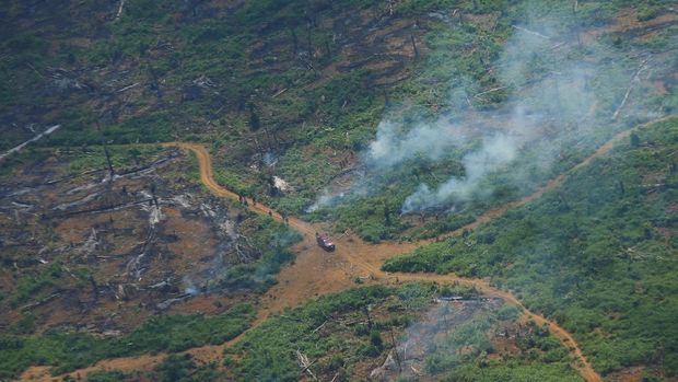 Hutan Amazon Brazil. (REUTERS/ADRIANO MACHADO)