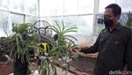 Kebun Raya Indrokilo Boyolali Sudah Buka, tapi Ingat Sabtu-Minggu Tutup!