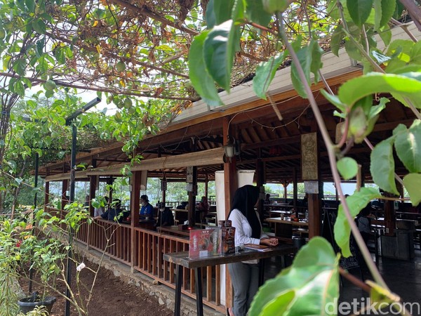 Selain cocok untuk para traveler yang gemar berwisata alam, tempat ini juga sangat cocok untuk para traveler yang gemar berfoto dan mengabadikan setiap momen-momen yang seru di tempat yang indah. (Luthfi Hafidz/detikcom)