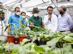 Menkop Dorong Koperasi Garap Pasar Tanaman Hias Dunia Rp 3.000 T