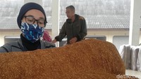 Bukan hanya pria, dunia tembakau pun menarik minat beberapa perempuan. Salah satunya pembeli satu ini, ia sengaja datang dari Tangerang ke pasar Tembakau Tanjungsari.