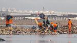 Bersih-bersih Teluk Jakarta yang Tak Kunjung Usai