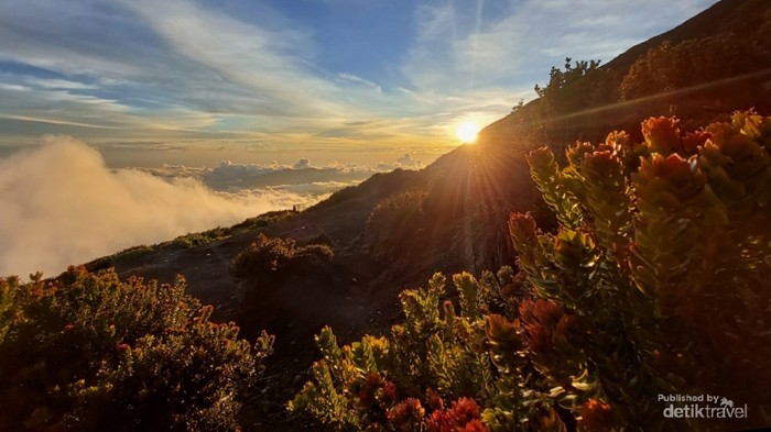 Pemandangan matahari tenggelam dari shelter tiga gunung Kerinci
