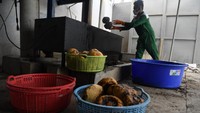 Kementerian Perindustrian telah menyiapkan berbagai fasilitas dan pendampingan bagi penghasil tanaman porang atau pun pelaku industri olahan porang di Jatim.