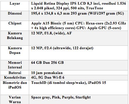 ipad mini 6