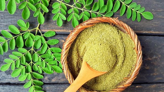 Daun Kelor Tertulis dalam Alquran, Ini Manfaat Sehat Racikan Jamu Kelor
