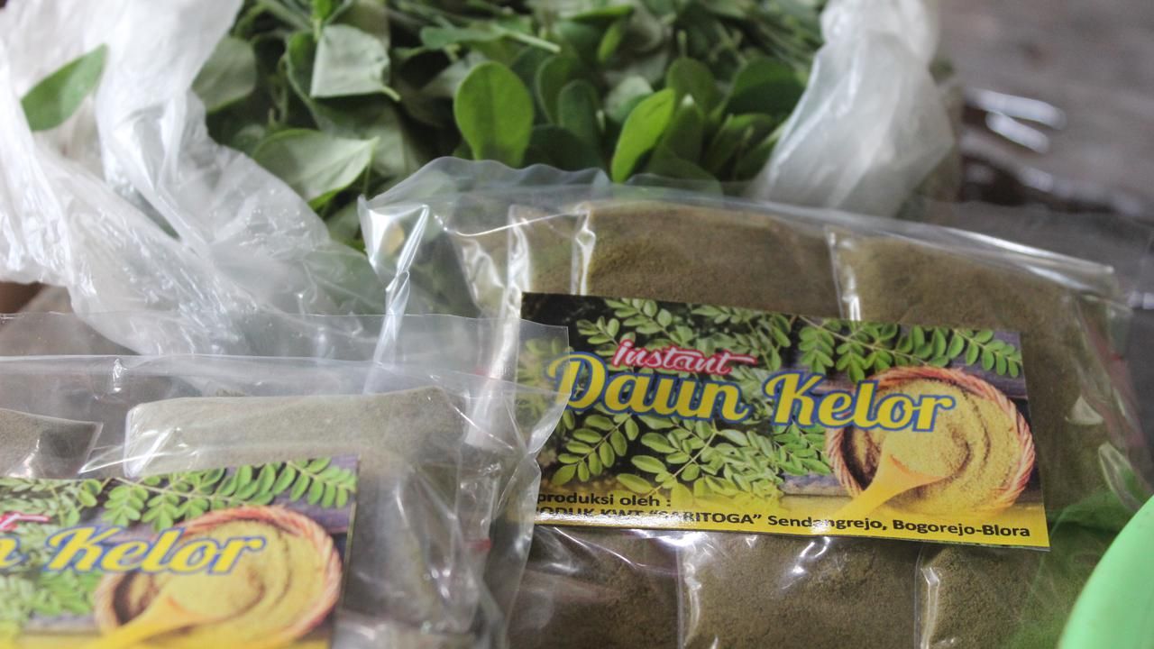 Daun Kelor Tertulis dalam Alquran, Ini Manfaat Sehat Racikan Jamu Kelor
