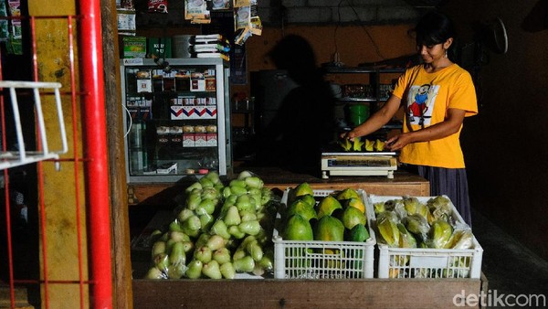 Sebelum bisa dinikmati, Belimbing tersebut harus ditimbang terlebih dahulu agar bisa dibayar sesuai dengan harga yang telah ditentukan. Sebelum bisa dinikmati, Belimbing tersebut harus ditimbang terlebih dahulu agar bisa dibayar sesuai dengan harga yang telah ditentukan.