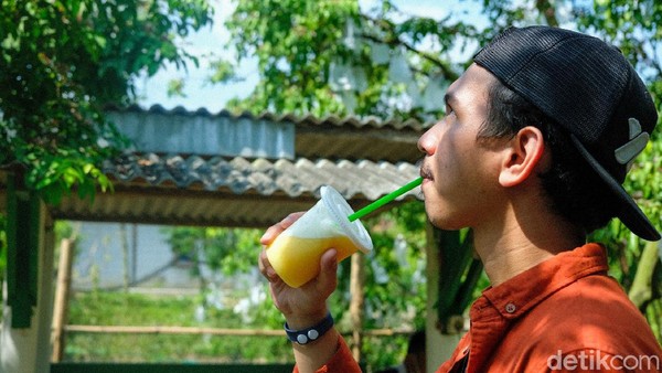 Bahkan, tak sedikit dari pengunjung yang memilih untuk mengolah Belimbing yang telah dipetiknya menjadi jus lho. Slurrp! Segar dan fresh bener. Bahkan, tak sedikit dari pengunjung yang memilih untuk mengolah Belimbing yang telah dipetiknya menjadi jus lho. Slurrp! Segar dan fresh bener.