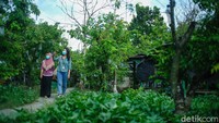 Selain bisa berjalan mengelilingi kebun, travelers juga bisa santai sambil menikmati udara segar dan rindangnya pepohonan di dalam kawasan agrowisata ini.