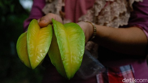 Belimbing yang sudah dipetik bisa langsung ditimbang untuk dibeli wisatawan yang berkunjung kesini.