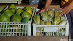 Mau Petik Belimbing Langsung dari Kebunnya, Ke Sini Aja