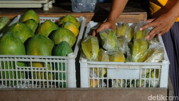 Tak hanya pengunjung lokal yang berkunjung ke lokasi agrowisata ini. Wisatawan biasanya dalam jumlah berkelompok dari Pati, Kudus, dan Semarang setelah mereka berziarah dari makam Ki Ageng Tarub mampir ke desa tersebut. Tak hanya pengunjung lokal yang berkunjung ke lokasi agrowisata ini. Wisatawan biasanya dalam jumlah berkelompok dari Pati, Kudus, dan Semarang setelah mereka berziarah dari makam Ki Ageng Tarub mampir ke desa tersebut.