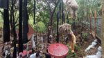Bukan Pulau Boneka di Meksiko, Ini Museum Santet Cirebon
