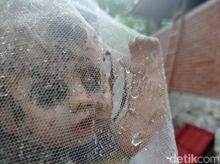 Bukan Pulau Boneka di Meksiko, Ini Museum Santet Cirebon